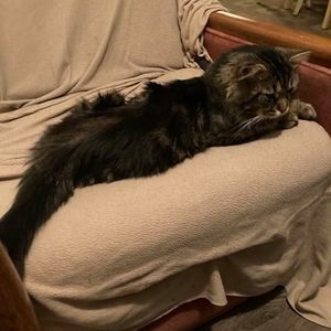 Meet your Posher, Sylvie